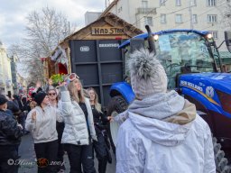 Simmeringer Faschingsumzug 2025